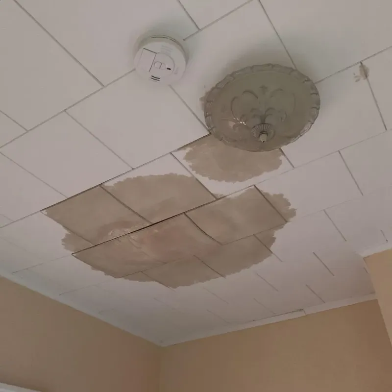 Ceiling Water Damage Repair in Circle D-KC Estates, TX