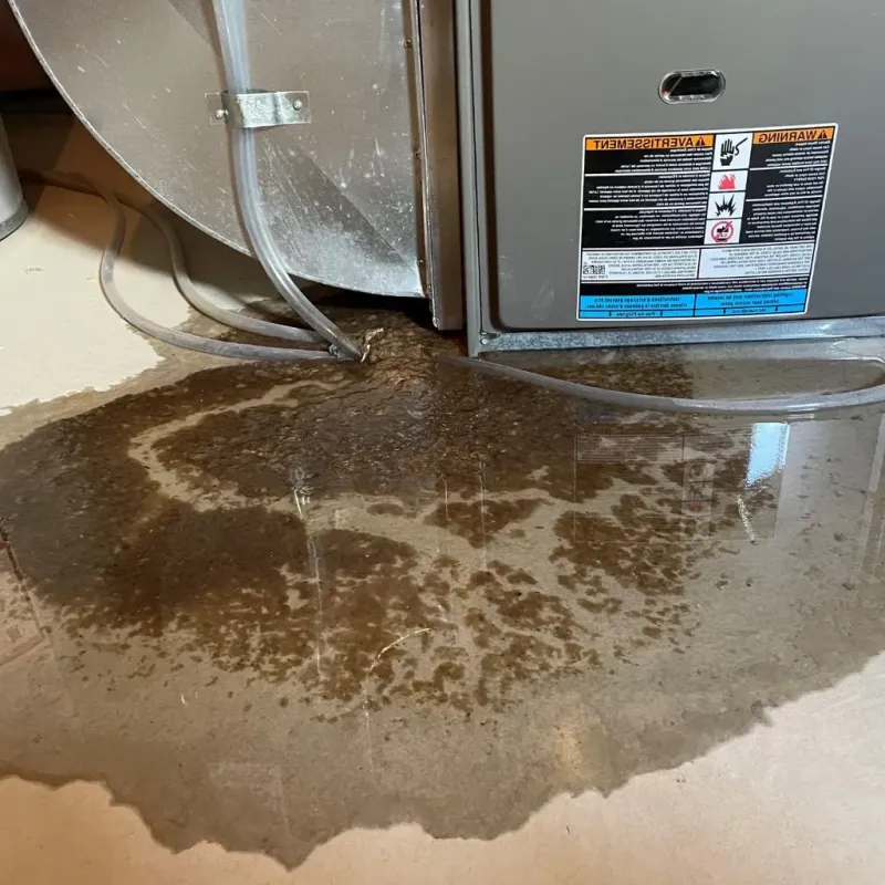 Pipe Burst and Leak Restoration in Circle D-KC Estates, TX